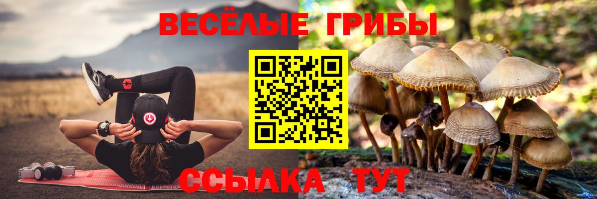 Орехово-Зуево  Галлюциногенные грибы мицелий  Вход с VPN 
